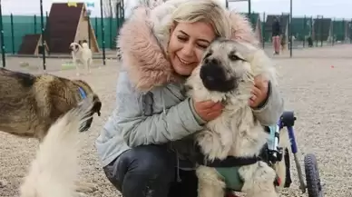 Buket Özgünlü'nün MASAK raporu: Gelen bağışlarla at yarışı oynadı