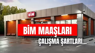 BİM Maaşları 2024 Güncel: Kasiyer, Part-Time, Bölge Sorumlusu Maaş Ne Kadar?