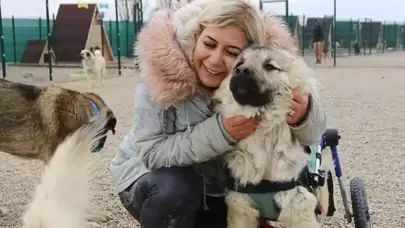 Buket Özgünlü'nün MASAK raporu: Gelen bağışlarla at yarışı oynadı