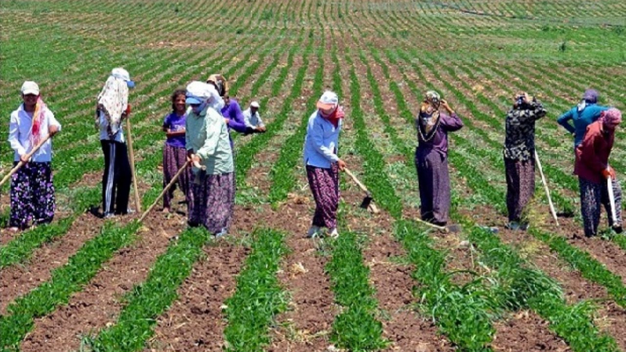 Tarımsal İş Gücü Eksikliği Zirve Yapıyor